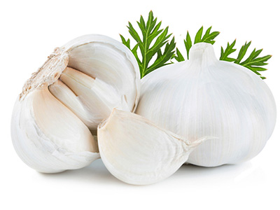 龍馬治療器 龍馬治療器