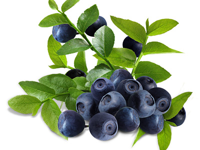 濟(jì)南龍馬治療器廠家 濟(jì)南龍馬治療器廠家