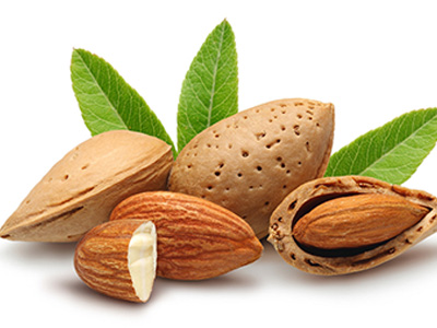 龍馬治療器 龍馬治療器