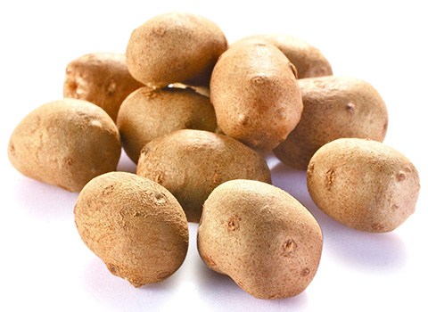 龍馬輻射治療器 龍馬輻射治療器