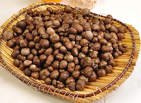 龍馬治療器廠家 龍馬治療器廠家