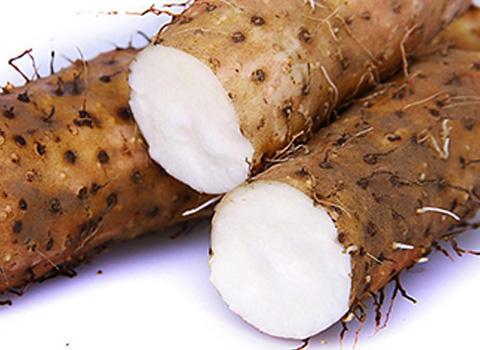 龍馬治療器 龍馬治療器