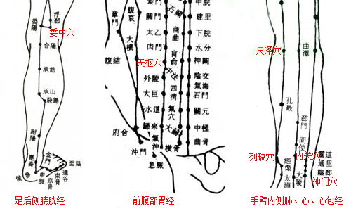 1481186735694322.jpg 圖片1.jpg