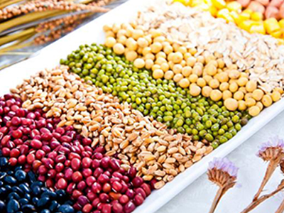 龍馬治療器 龍馬治療器