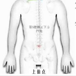 龍馬治療器 龍馬治療器