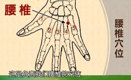 龍馬治療器 龍馬治療器