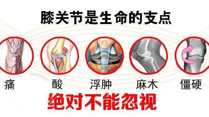 龍馬治療儀053186083450.jpg 龍馬治療儀053186083450.jpg